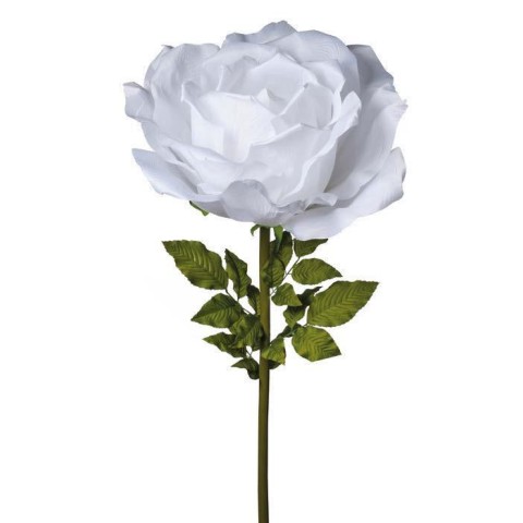 RAMO ROSA CM170 CREMA